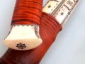 Stuora niibi